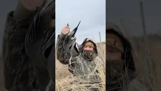 Первоклассная веточка. И этим все сказано. #охотанауток #охота