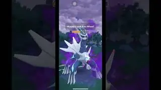 Tiny Morpeko Destroys my Shadow Dialga AND Palkia?! Great League Pok&eacute;mon GO Shocker!