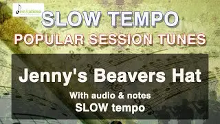 Jenny's Beavers Hat D Major. Learn With SLOW Audio & ABC Notation