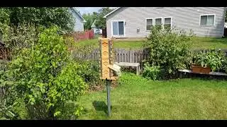 Mini Urban Beehive: Removable roof idea from scrap wood