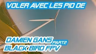Voler avec les PID de Damien GANS ! Part 2 - Flightone Black Bird FPV