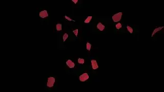 Red rose petals overlay 4K black screen effect