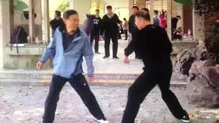 Kung fu arm/ body conditioning ( mian quan)