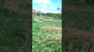 فياض الزيته عام1441