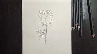 Как нарисовать розу 🌹 шаг за шагом. Научитесь рисовать розу шаг за шагом, легко и просто. Роза 🌹🔮