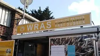 WRAS East Sussex - day 7 of waiting for the casualty 's reference number and proof of donation 7️⃣