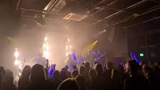 HOLY MOLY & THE CRACKERS X ROB HERRON X TRUE STRAYS