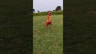 Indian baby playing with ball #Cricket #ipl #shorts #viral