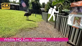 [4K UHD] Wildlife HQ Zoo virtual tour - Woombye - Visit Sunshine Coast