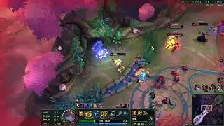 ARAM23