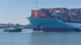 Two Sailboats vs Container Ship and Two Tugs