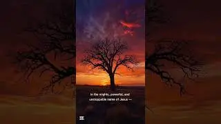 @FrancisJoachim-n9o 