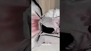 #viral #viralvideo #short #shorts #granny #beka #youtube #kick #twitch #streamer