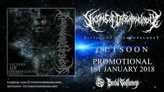 VICTIMS OF DISEMBOWELMENT - SLAM'ULATION COMPLEX (Promo Teaser)