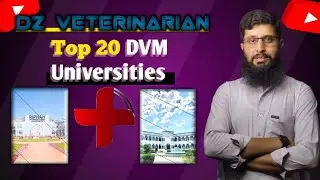 Top 20 DVM Universities in Pakistan |Balochistan |Sindh |Punjab |KPK |AJK.