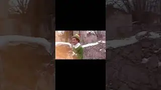 Holiday Movie Stunts: The Secrets They Don&rsquo;t Want You to Know! #Shorts