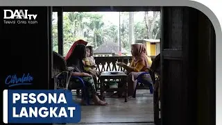 Pesona Langkat | Citraloka
