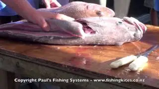 Skinning, Boning, Filleting Hapuku, Bass, Grouper, Wreckfish