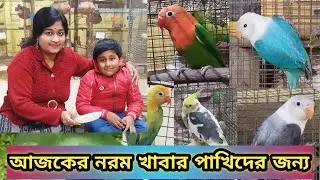 Today's soft food for our birds/আজ আমাদের পাখিদের জন্য নরম খাবার।