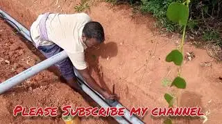 How to assemble Drip irrigation pipe line in agriculture land for 1.5 acre #arjunVlogs #arjunxiaoge