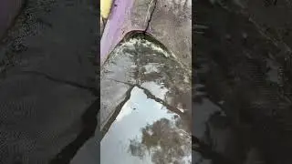 🎣 Fishing for LIFE in a Desi Village | A Day of Traditional Fishing in Rural Life 🌾 Village Ltd
