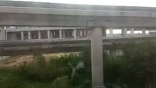 (EPIC CATCH) MRT EWL Changi Airport Extension | Ride on C151A 533/534 | Tanah Merah to Expo