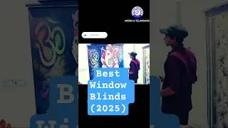 Best Window Blinds (2025)