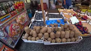 палермо рыбный рынок
