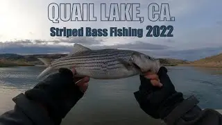 Fishing for Striped Bass | Quail Lake, CA.