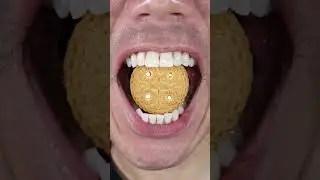 ASMR | バニラサンド Biscuit Crunch! | Satisfying Bite 🍪 | #ASMR #バニラサンド #Crunchy