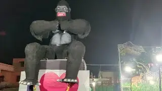  ROBOTIC ANIMALS PLANIT AND EXHIBITION FIRST TIME IN KGF MALAYALI GROUND. 45 DAYS EVERY DAY EVENING.