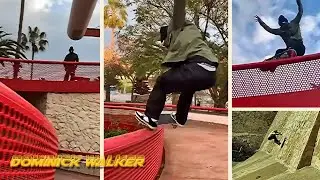 Dominick Walker 