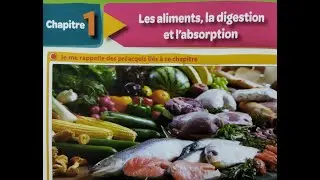 Transformation des aliments dans l'intestin part 1