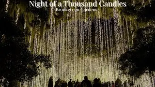 Night of a Thousand Candles at Brookgreen Gardens | Cinematic Experience