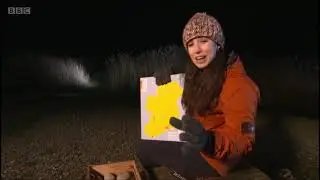 Winterwatch 2022 - Otter at Castle Espie