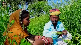देवर भाभी की क्या बात चल रही है सरसों के खेत में || नंदा काका की भाभी Rajasthani Comedy Video