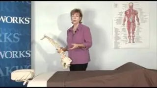 (Part 1/2) Nancy Porambo: Understanding Fibromyalgia