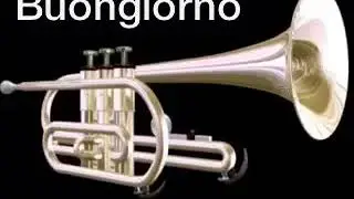 Suono della trombetta