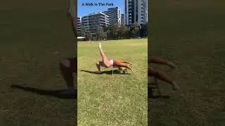 A Walk In The Park (@FeetUp) #exercise #motivation #outdoors #happiness