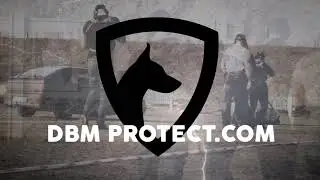 DBM PROTECT - HIGH RISK SECURITY SPECIALIST