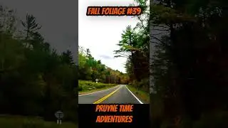 FALL FOLIAGE #39: Fall Foliage #15: Winding Roads to Elkland &ndash; Alright, Alright Autumn