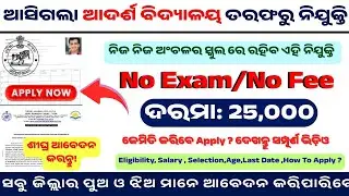 ଆସିଲା ଆଦର୍ଶ ବିଦ୍ୟାଳୟ ନିଯୁକ୍ତି | OAV Recruitment 2025 | Odisha Govt Teaching Job | Apply Now