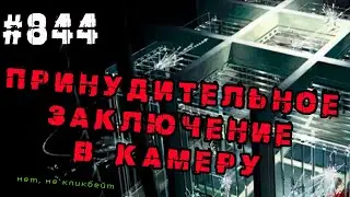 Эхо камера - когда заключенные в XXI веке все до единого. Усиленные когнитивные искажения.