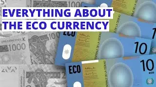 Everything You Did Not Know About The Eco Currency