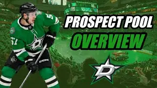 Prospect Pool Overview: Dallas Stars
