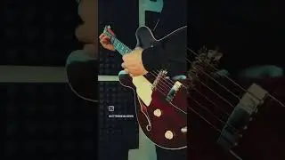 letterbox lick of the day 4  
