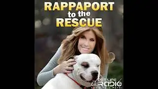 Rappaport To The Rescue - Paw 67:  Neil Patrick Harris & David Burtka and Their Book, Both Sides ...