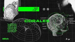 Real Project ft Daym&eacute; Arocena_Corales (Video Oficial)