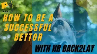 How to be a successful bettor with HRBack2Lay | Part2