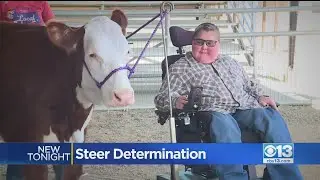 Teen With Muscular Dystrophy Wins Dixon Fair Competition With 1,200-Pound Steer